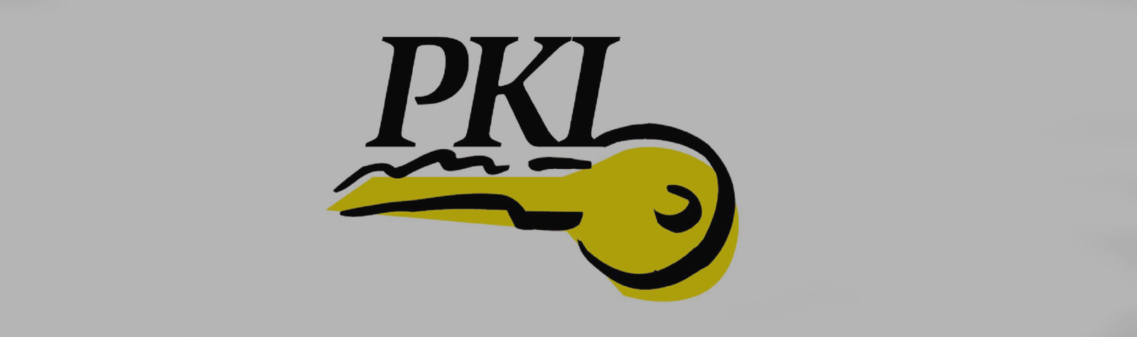 PKI چیست ؟