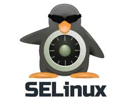 SELinux چیست