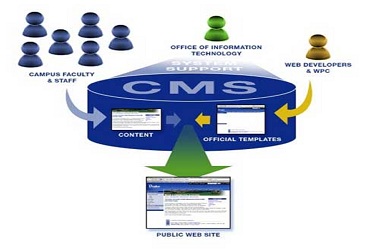 types-of-cms