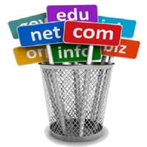 انواع پسوندهای دامین و مفهوم آنها
