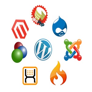 انواع CMS