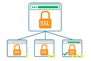 انواع گواهینامه ssl