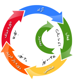 عمر دامنه (چرخه حیات دامنه، دامین، دومین، Domain )